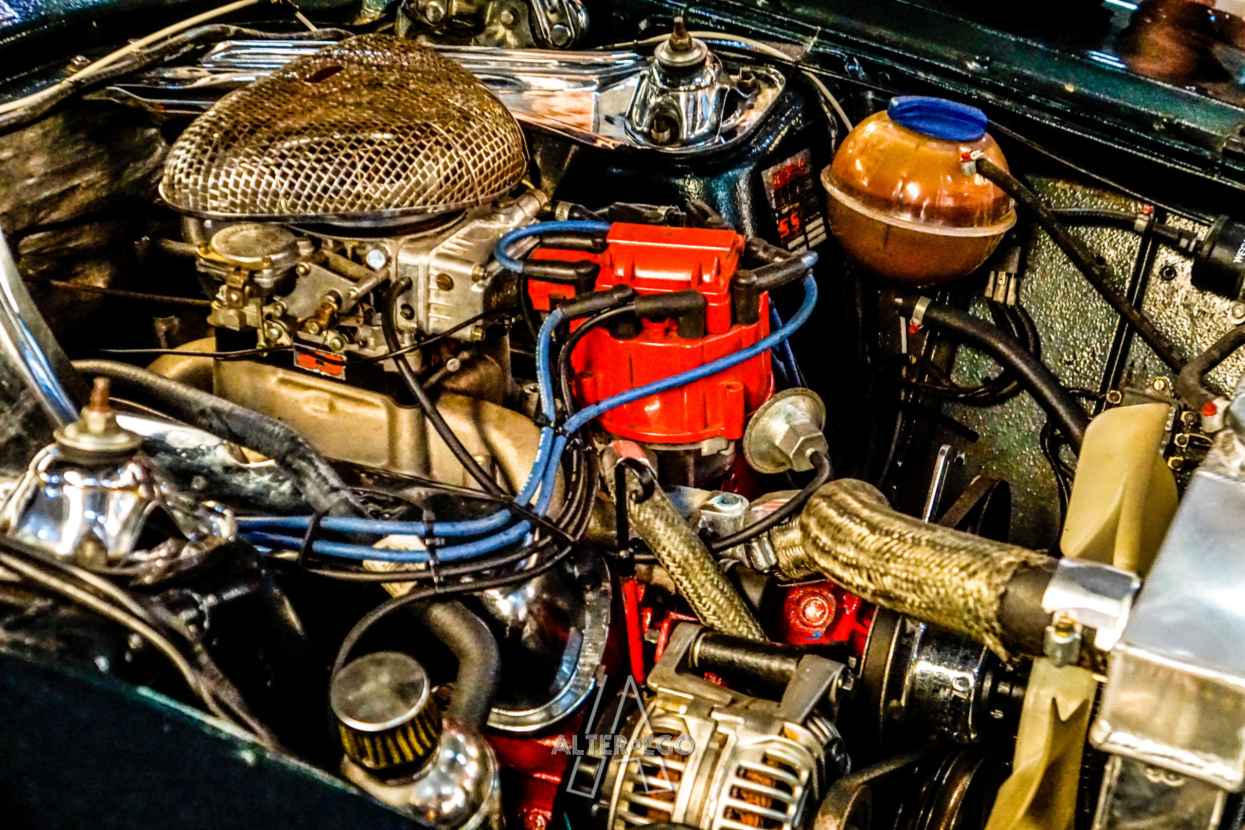 _DSC7246