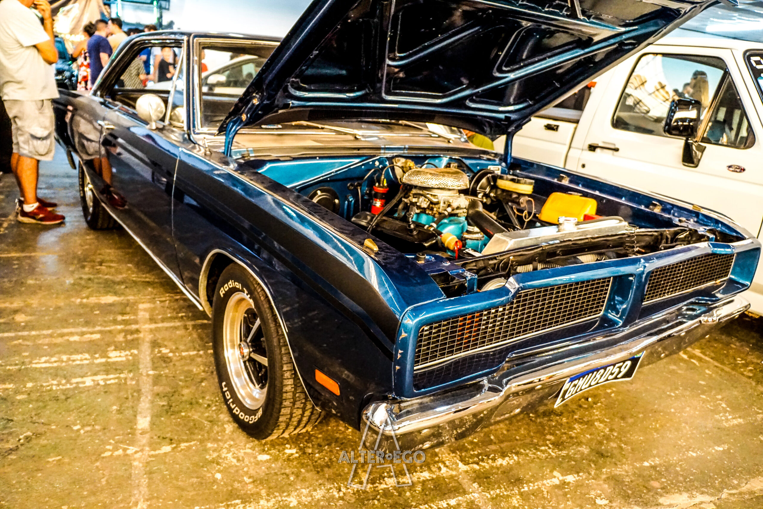 _DSC7264